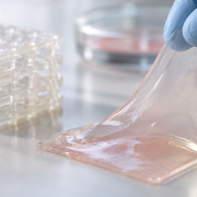 Hydrogel Featured image