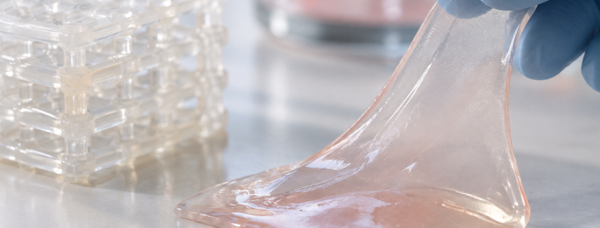 Hydrogel Featured image